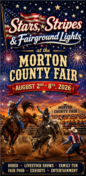 Fair Book Cover